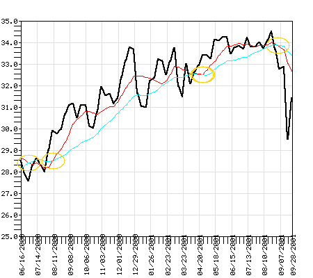 SSHFX Fund