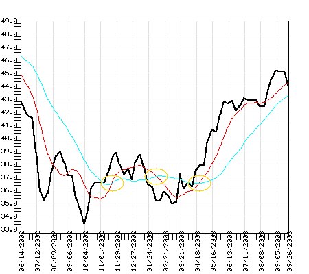 VCA-IF Fund